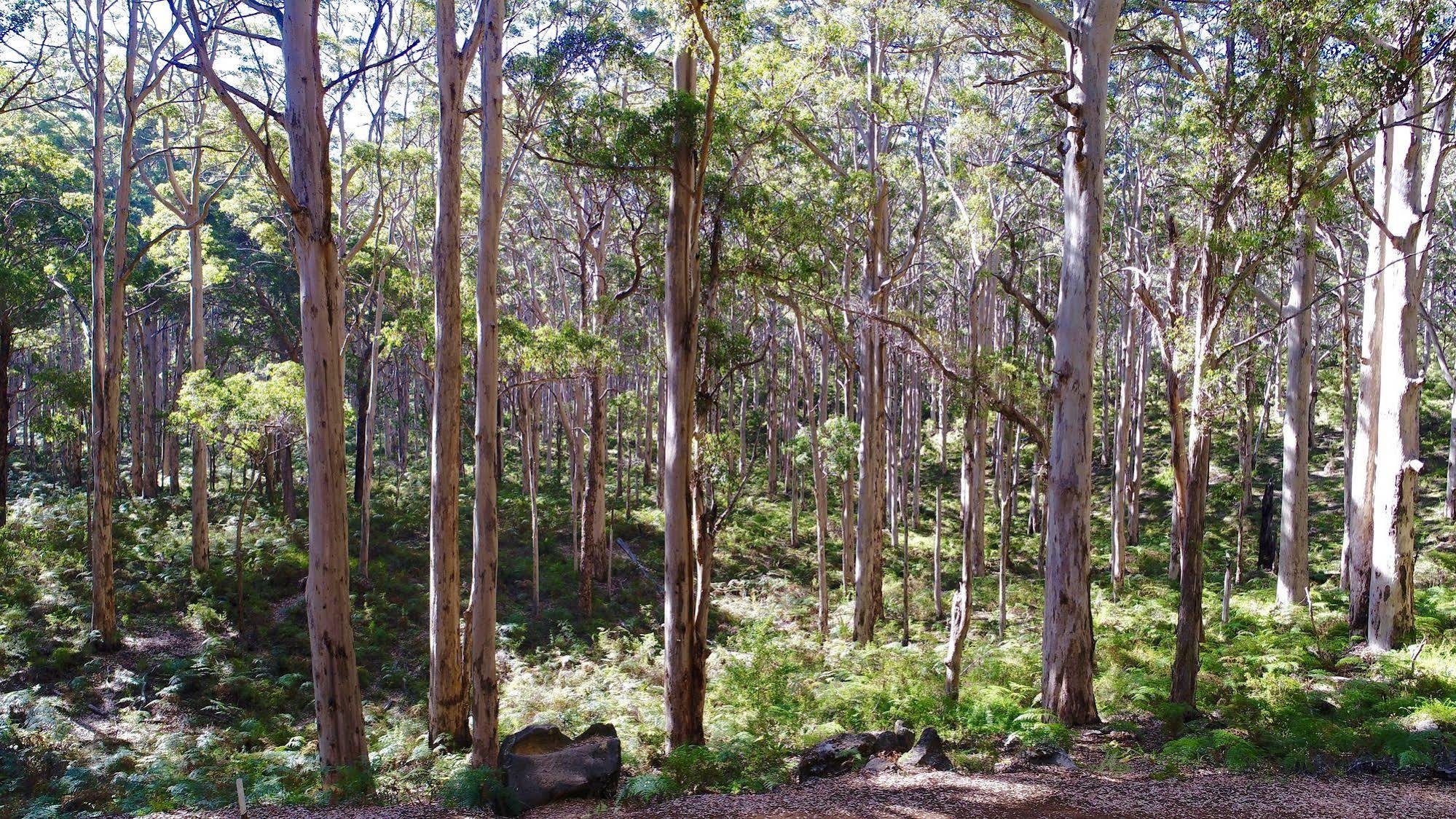 Margaret River Beach Apartments Gnarabup Екстериор снимка